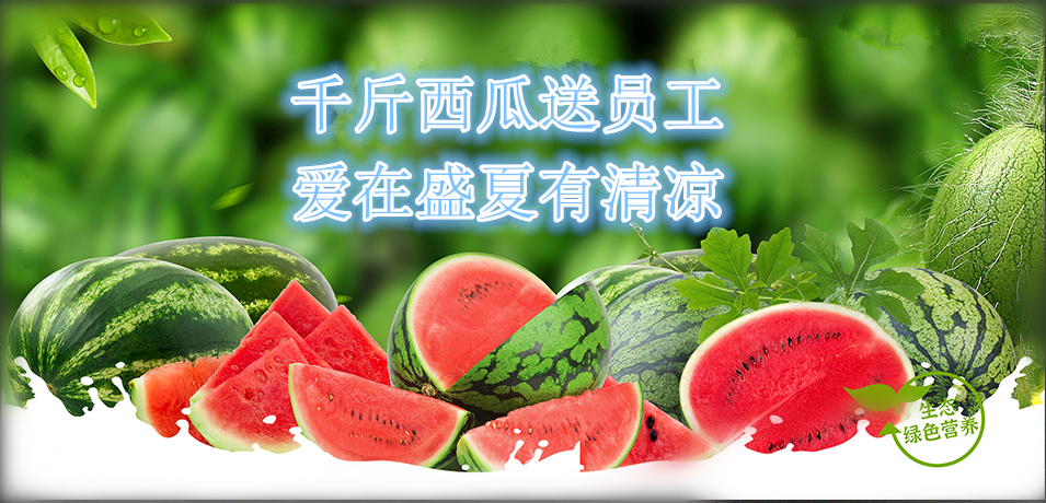 通達軟件公司： 千斤西瓜送員工，愛在盛夏有清涼